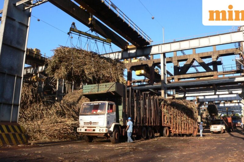 Trualt Bioenergy IPO: ₹839 crore issue opens tomorrow; 10 key points you must know from RHP