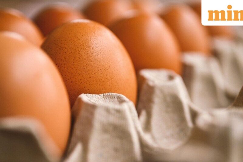 Upcoming IPO: Zappfresh parent DSM Fresh Food to launch IPO on September 26; price band fixed — Check details