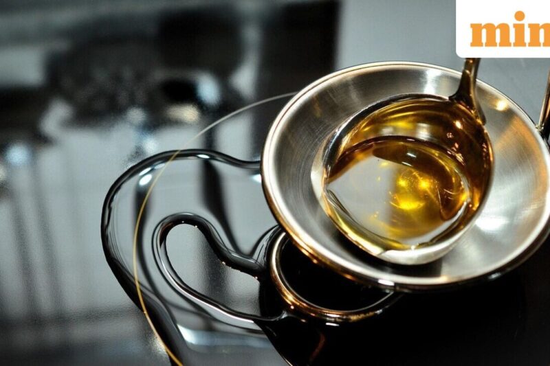 Solvex Edibles IPO opens today: Check subscription status, GMP and other details about SME issue