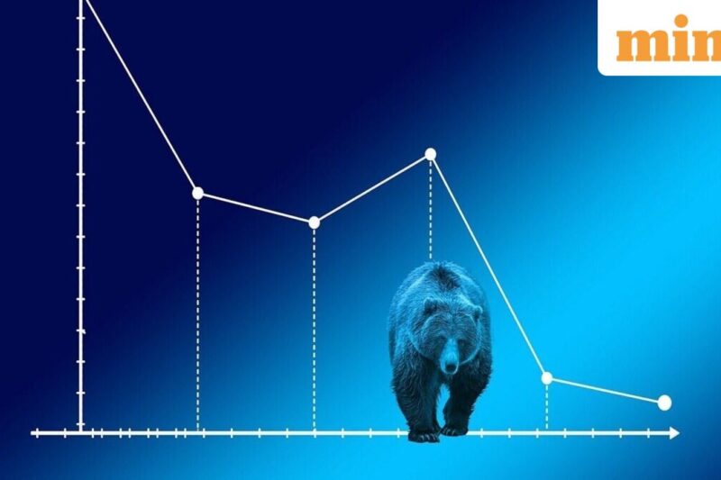 Why is Shankara Building Products share price reflecting a 75% crash in value? Explained