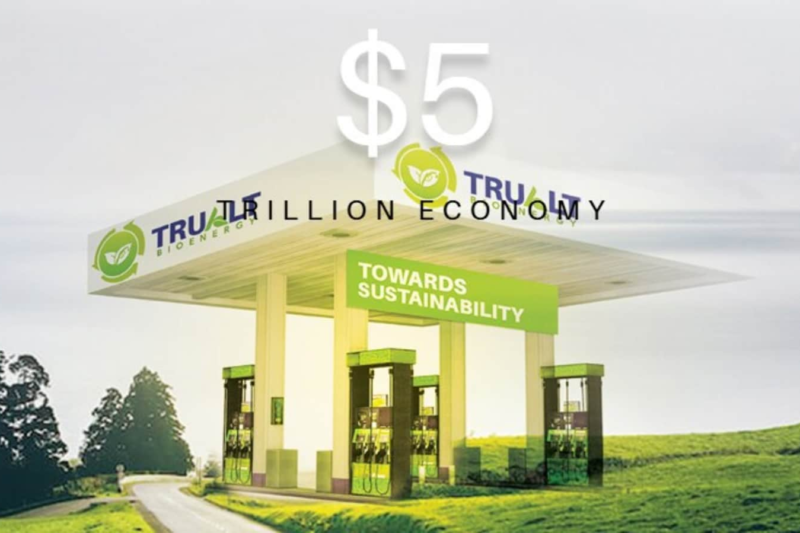 Trualt Bioenergy IPO allotment date likely today. GMP, steps to check share allotment status online