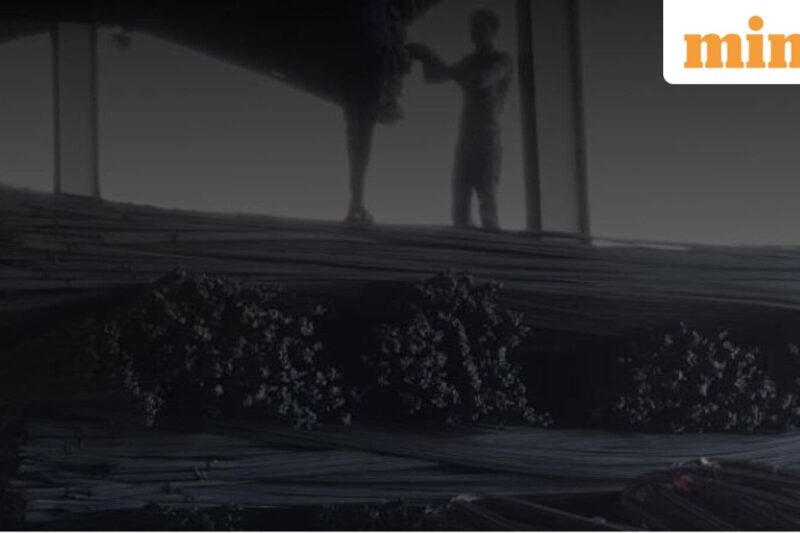 VMS TMT IPO day 1: GMP, subscription status, review, other details. Apply or not?