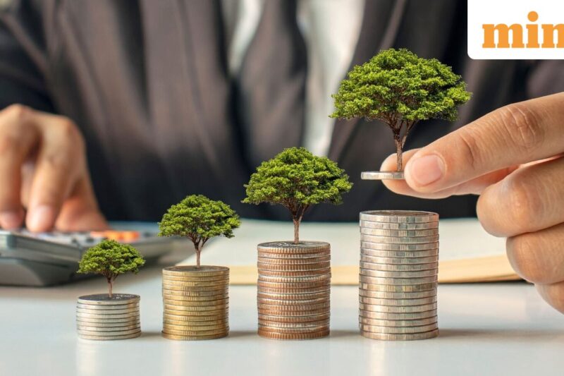 Mutual funds went big on these 3 smallcap stocks in August. Should you follow?