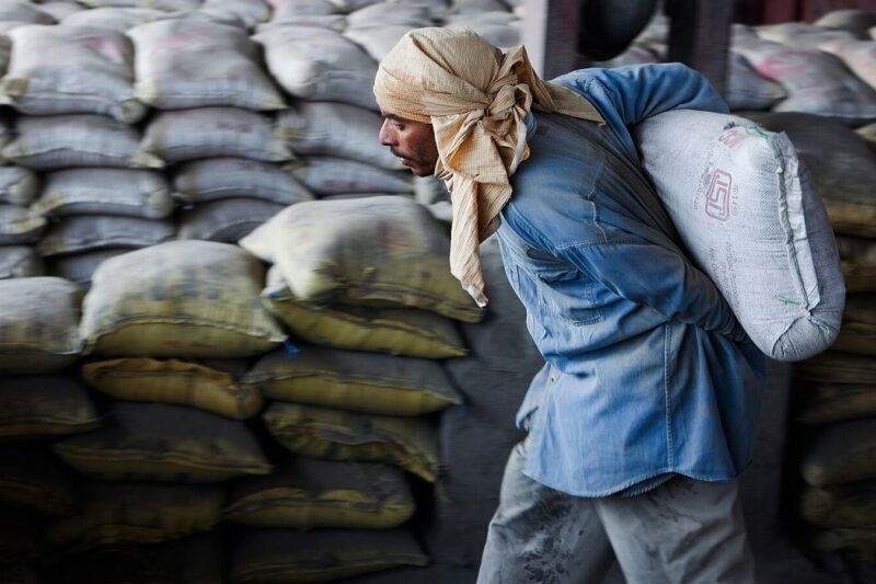 ACC Q2FY26 Results: Net profit surges to ₹1,119 crore, revenue rises 30% YoY