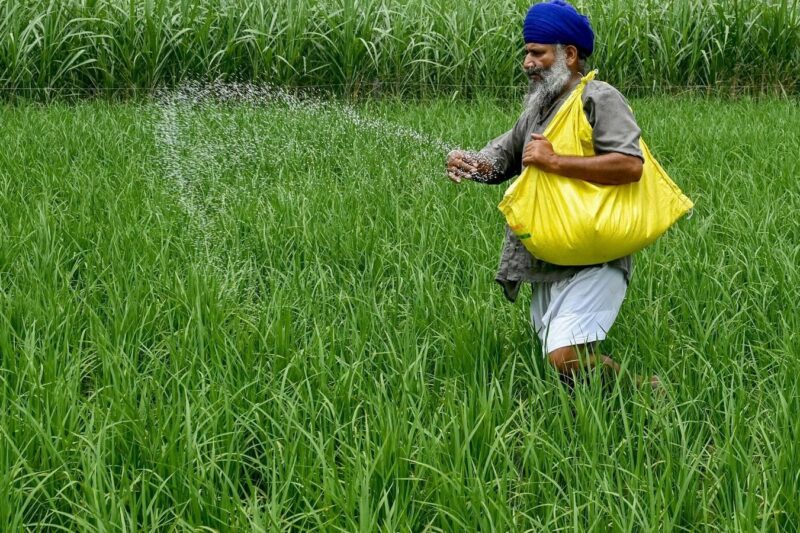 2900% rally in five years! Multibagger stock to be in focus on Monday; here’s why