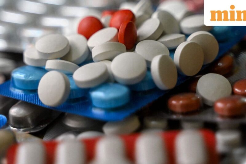 Rubicon Research IPO: Price band declared at ₹461 to ₹485; key dates and other details you should know