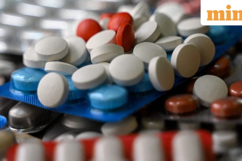 Rubicon Research IPO: ₹1377 crore issue opens in 2 days; 10 key points you must know from RHP