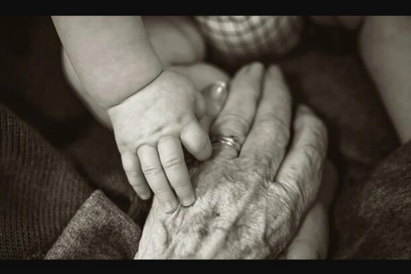 Rubicon Research IPO allotment date LIVE Updates: Step-by-step guide to check status; GMP hints 26% listing pop