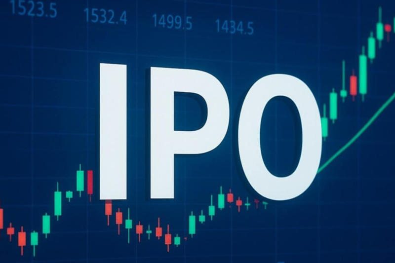Rubicon Research IPO: Pharma firm raises ₹619 crore from anchor investors ahead of public issue — Details here