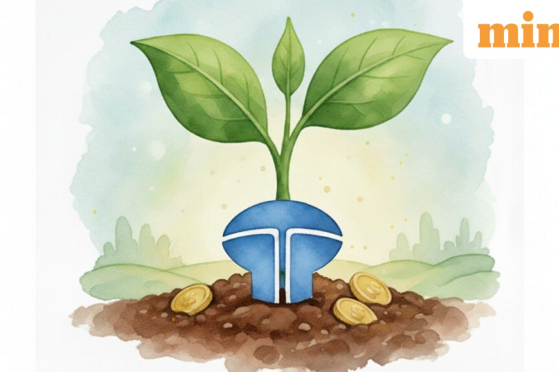 Tata Investment Corp. stock jumped 50% in September. Time for caution now.