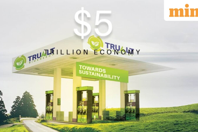 Trualt Bioenergy IPO listing date in focus: Here’s what GMP signals about debut of shares