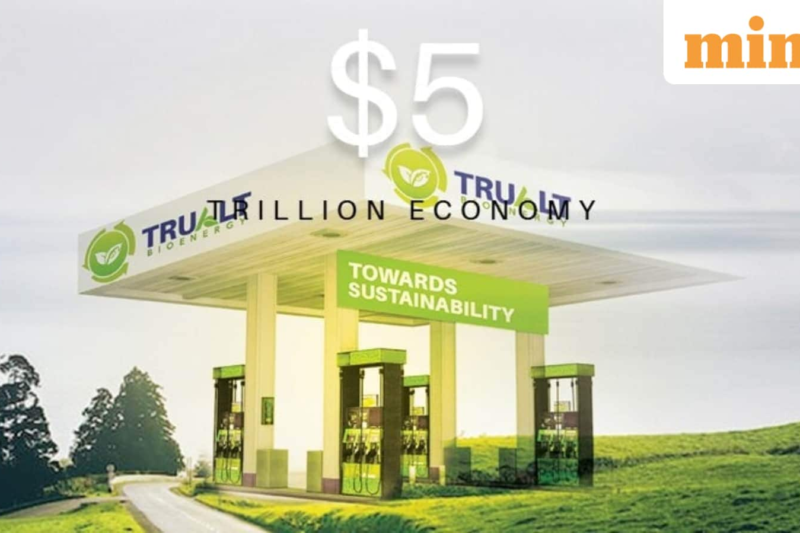 Trualt Bioenergy IPO listing date today; GMP, experts signal strong debut of shares in stock market today