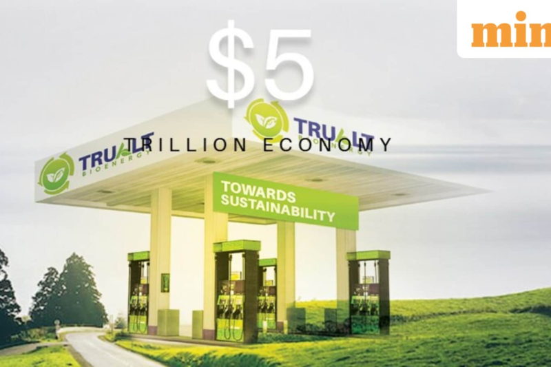 Trualt Bioenergy share price makes a positive debut, opens with 10% premium at ₹545.40 apiece on NSE