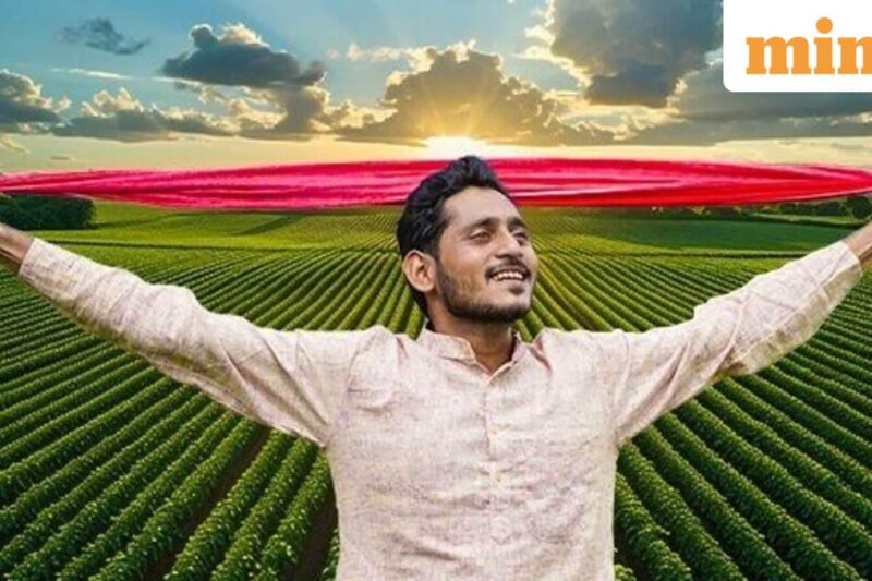 Advance Agrolife IPO allotment to be finalised today: Check GMP, step-by-step guide to check allotment status online