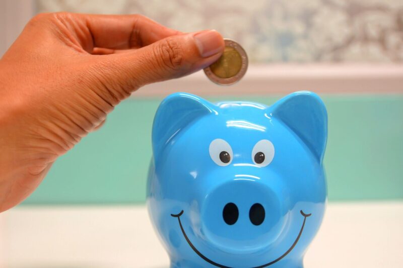 Equitas Small Finance Bank Q2 results: Profit rises, NII declines. Check key details