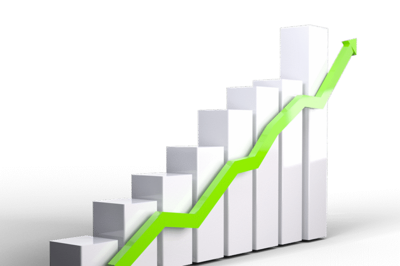 Sharda Cropchem Q2 Results: Firm posts 75% YoY rise in profit; revenue rises 20%